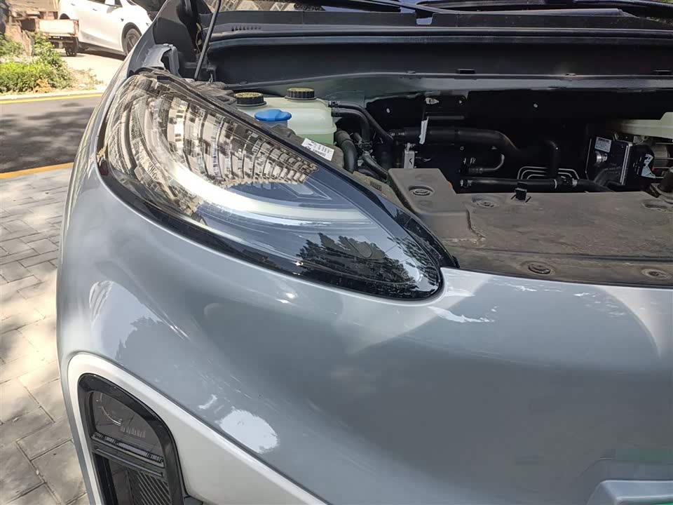 ARCFOX Polar Fox Koala S