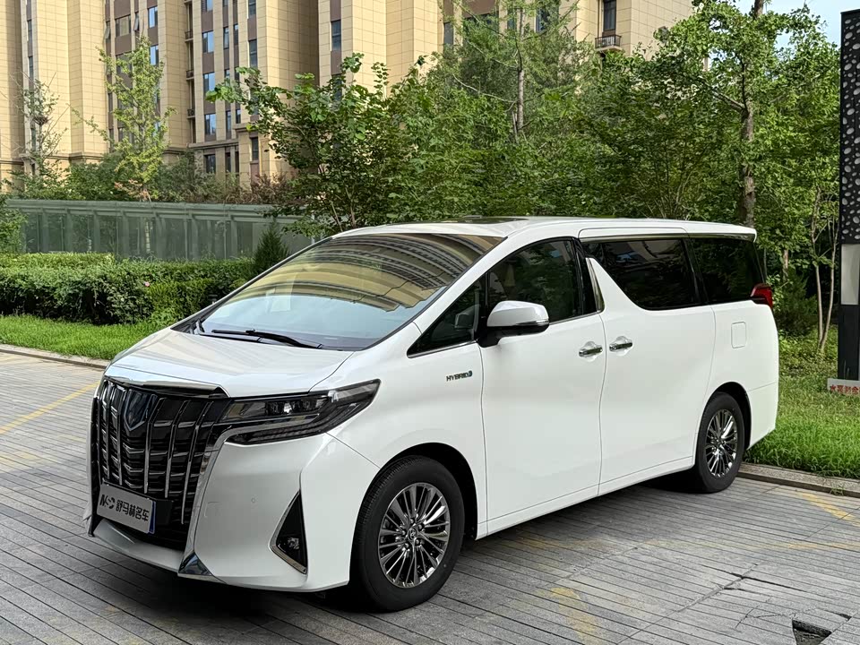 Toyota Elfa