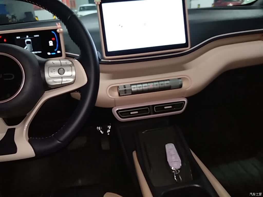 BYD Seagull, 2024 14