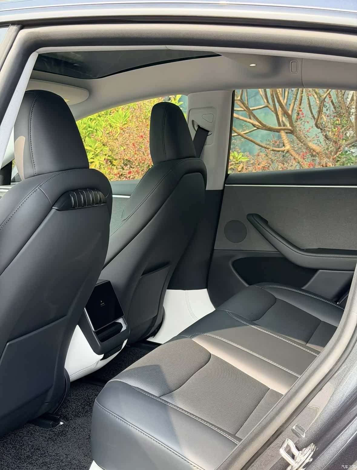 Tesla Model 3, 2024 14
