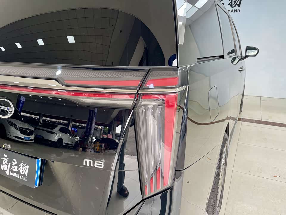 Trumpchi Trumpchi M8