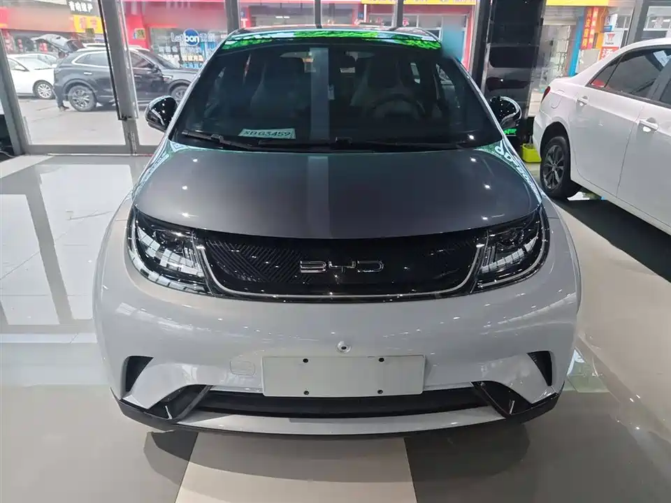 BYD dolphin