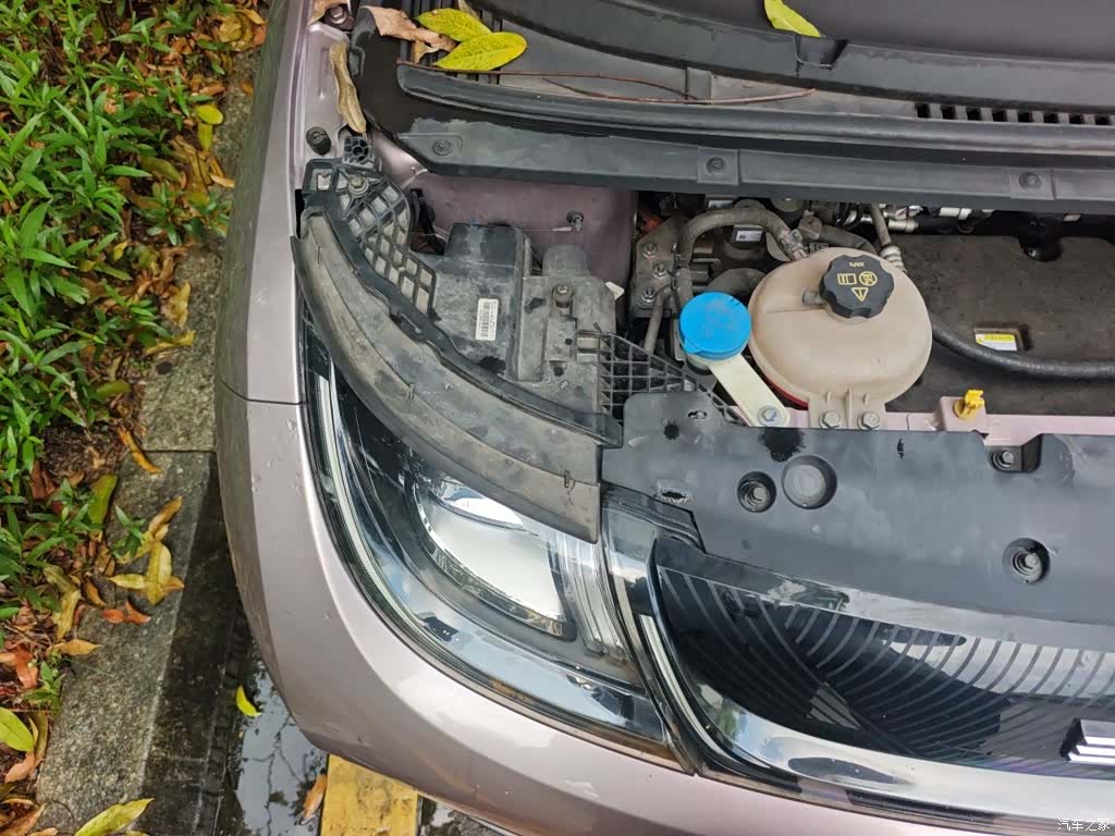 BYD Dolphin, 2022 20