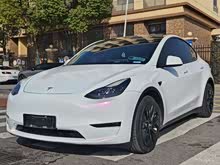 Model Y 2021�� ��׼����������