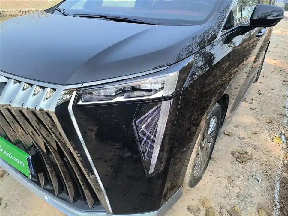 Trumpchi Trumpchi M8