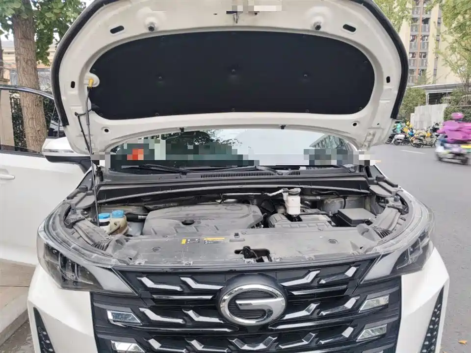 Trumpchi Trumpchi M6