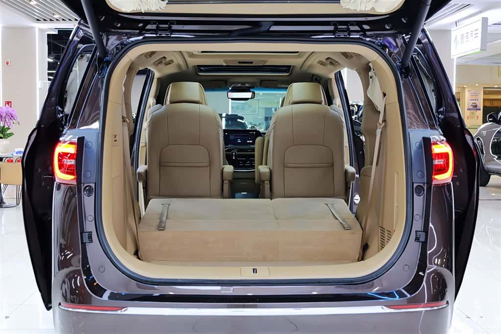 Buick GL8, 2020 33
