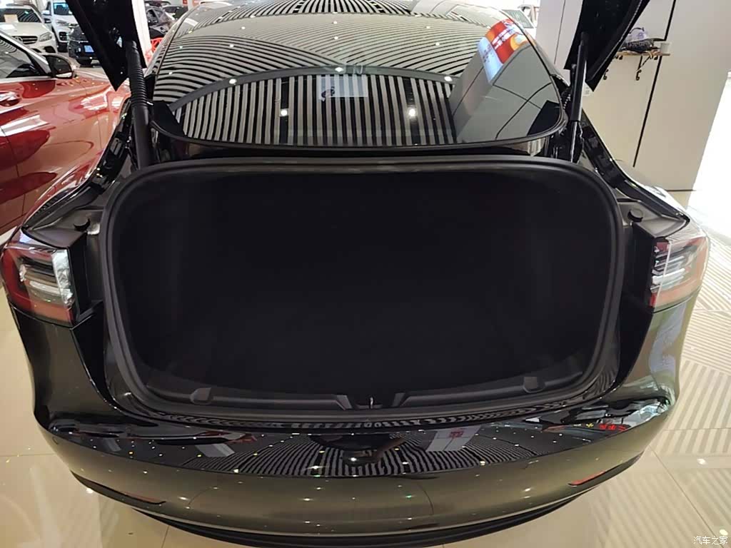 Tesla Model 3, 2021 19