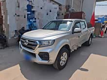 �翥7 2021�� 2.0T����������ֵ���˫GW4D20M