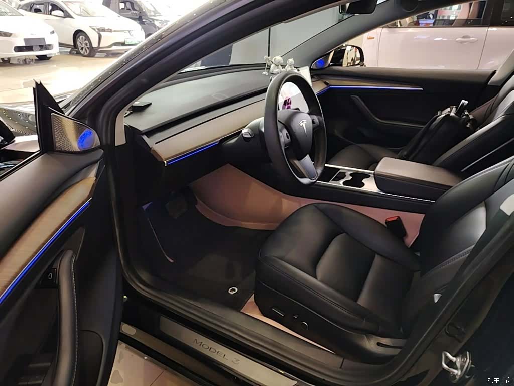 Tesla Model 3, 2021 16