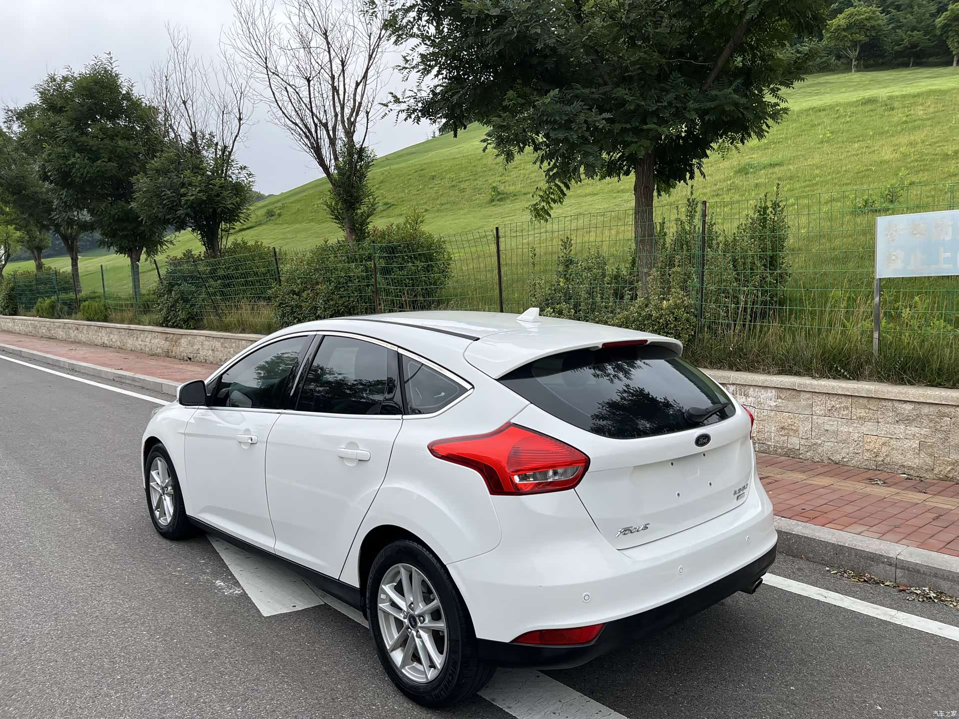 Ford Focus, 2016 все фото
