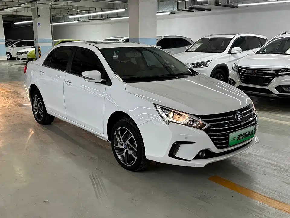 BYD Qinxin Energy