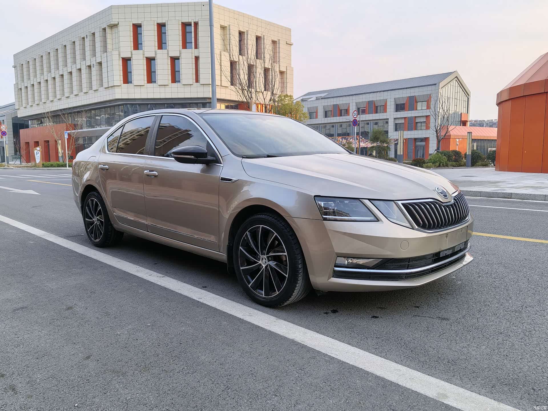 Skoda Octavia, 2017 все фото