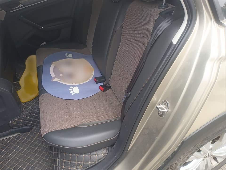 Volkswagen C-TREK Wei Collar