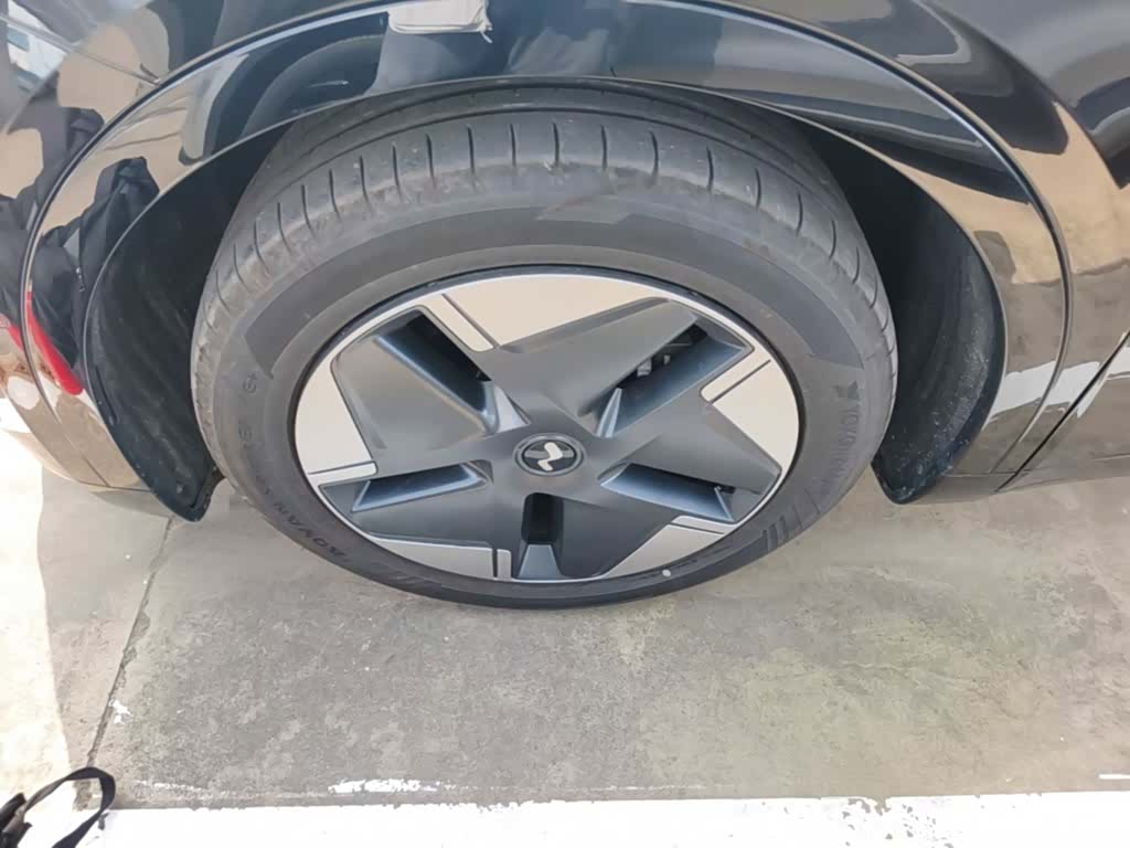 NIO L60, 2024 25