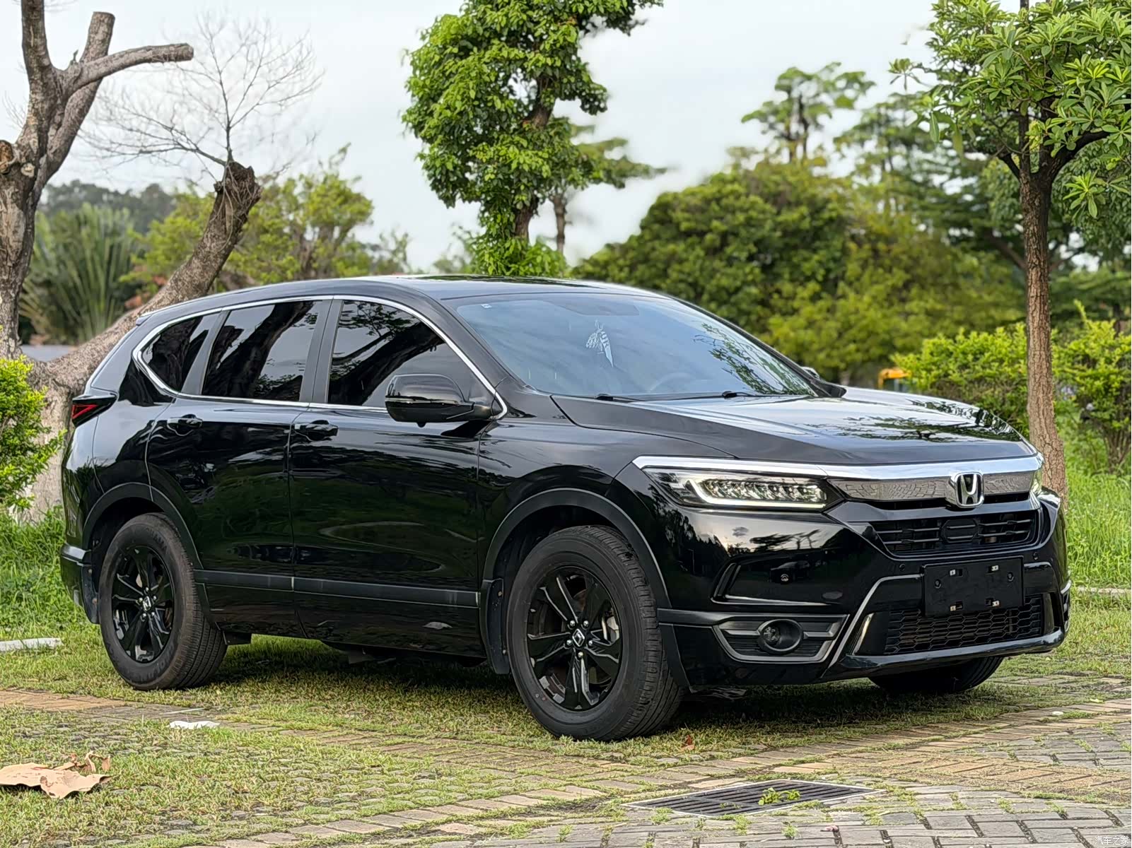 Honda Breeze, 2020 3