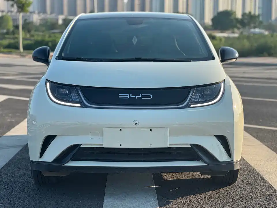 BYD dolphin BYD dolphin