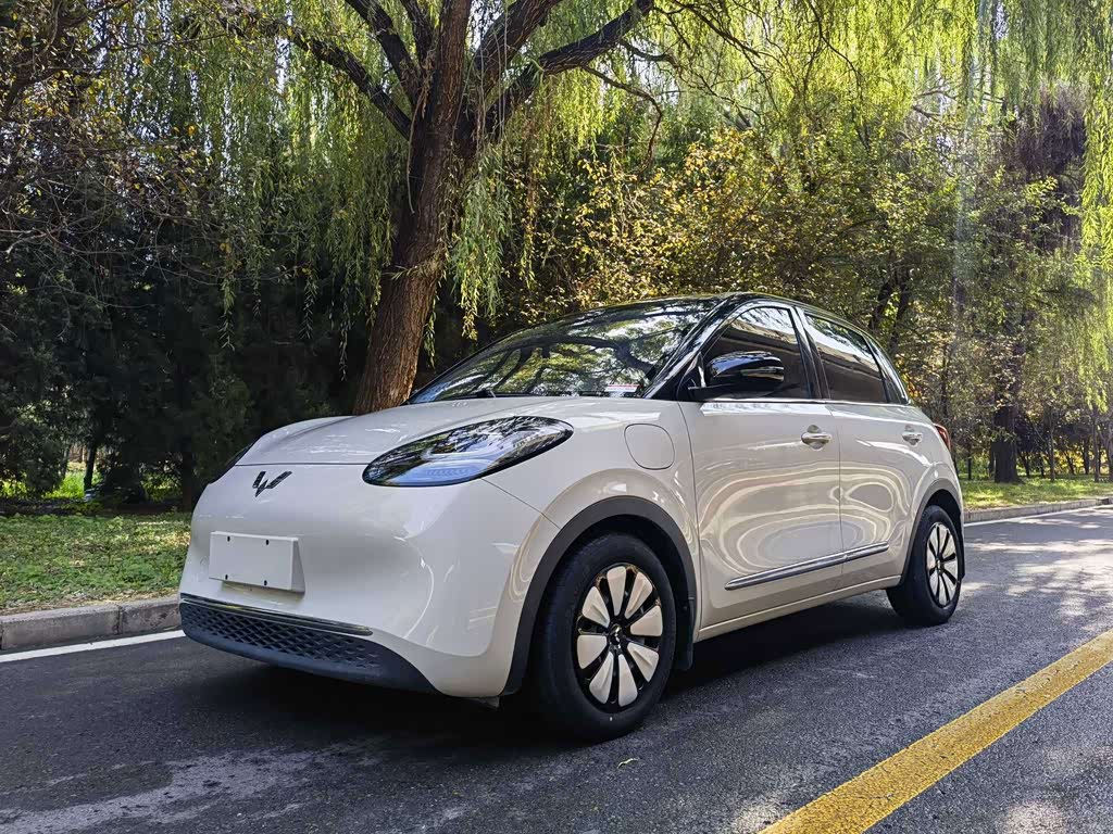 Wuling Binguo 2023 333km Enjoy