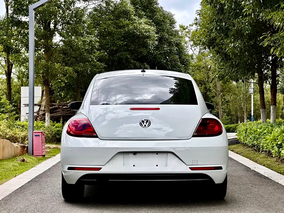 Volkswagen Beetle Volkswagen Beetle