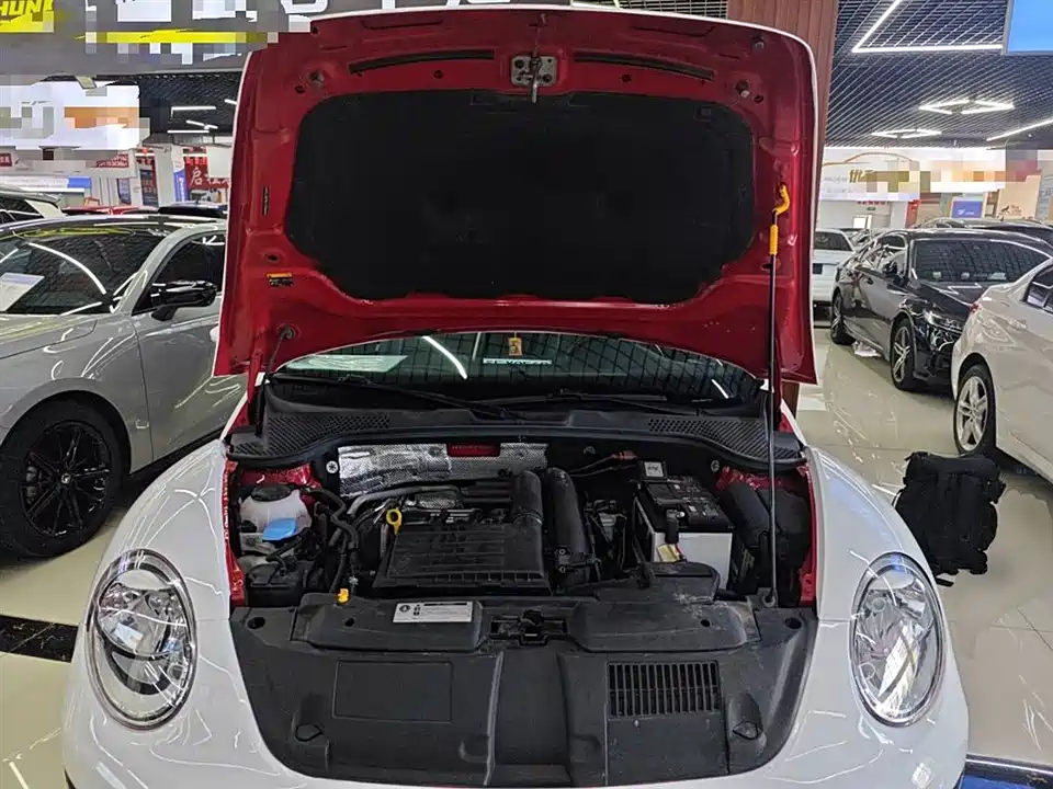 Volkswagen Beetle Volkswagen Beetle