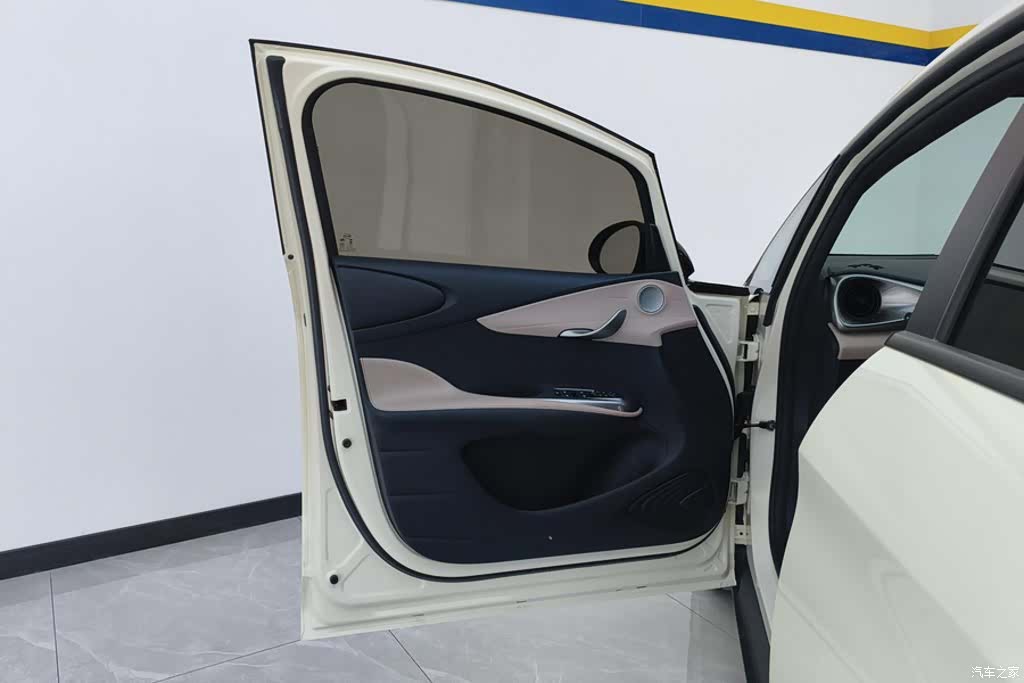 BYD Dolphin, 2024 7