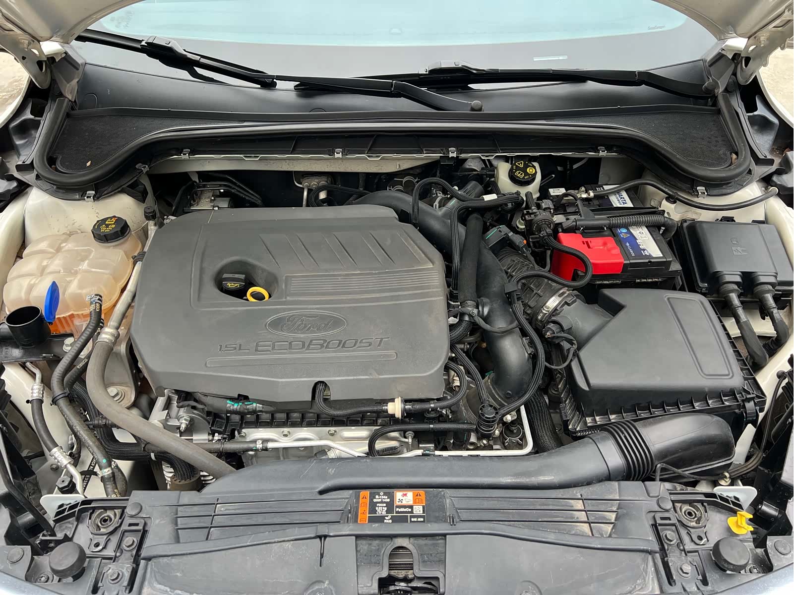 Ford Focus, 2023 все фото