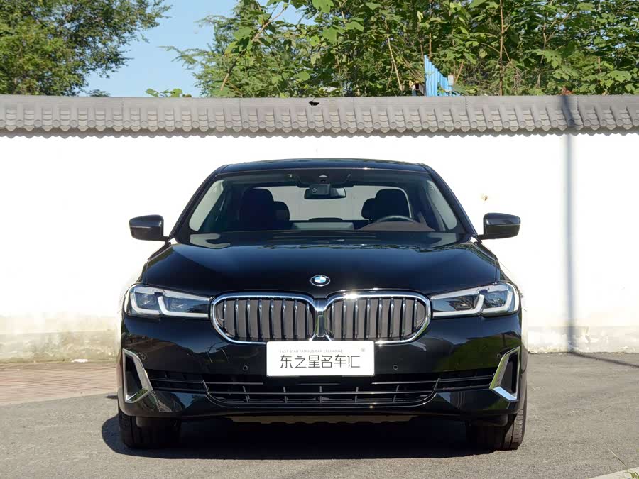 BMW 5 Series 2020, фото 2