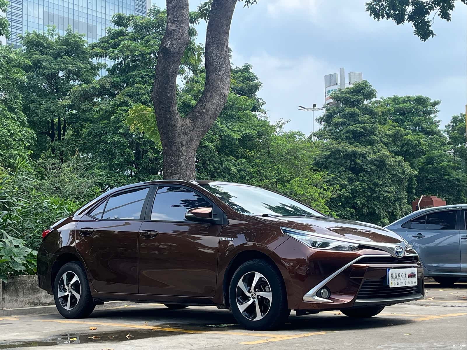 Toyota Levin, 2018 3