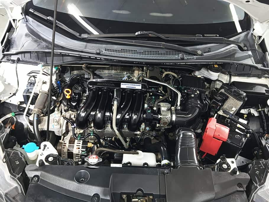 Honda Gori