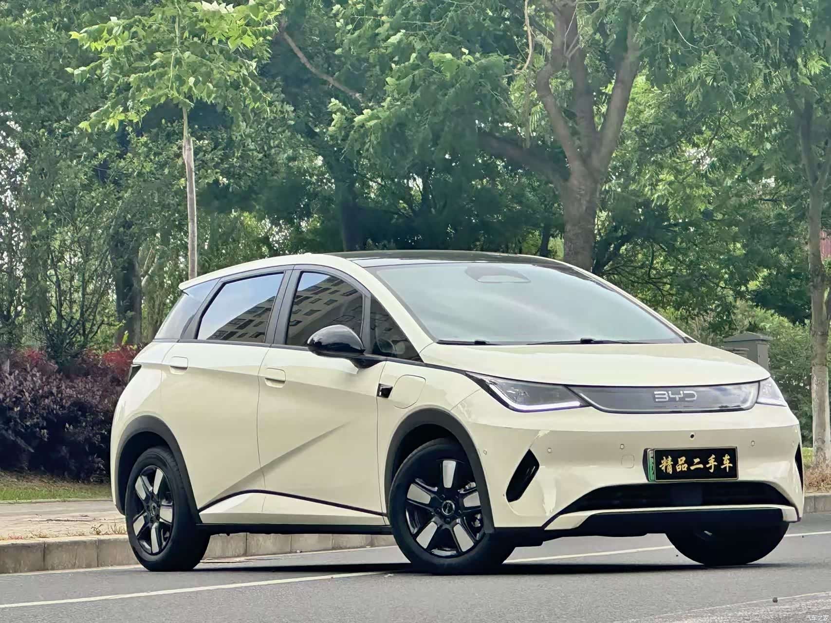 BYD Dolphin, 2025 все фото