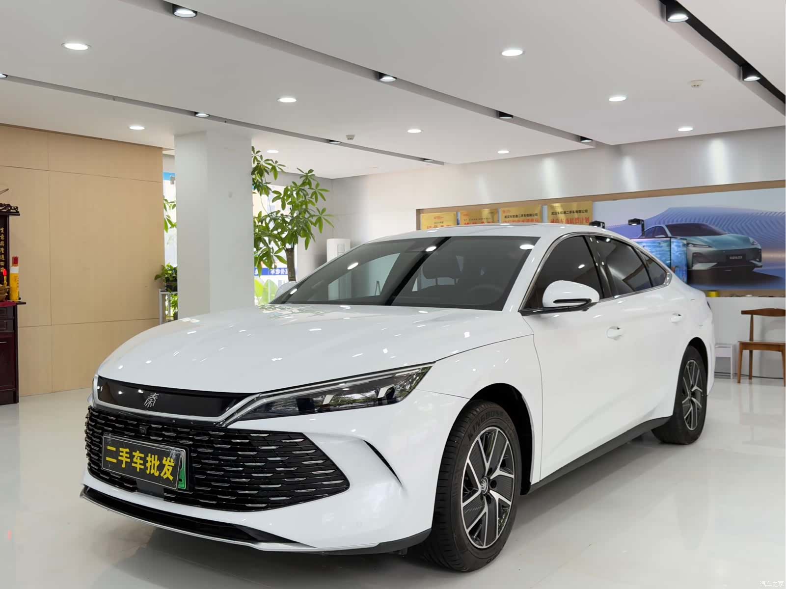 BYD Qin, 2024 1