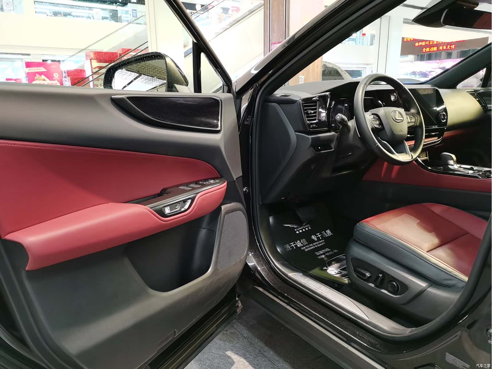 Lexus NX, 2023 все фото