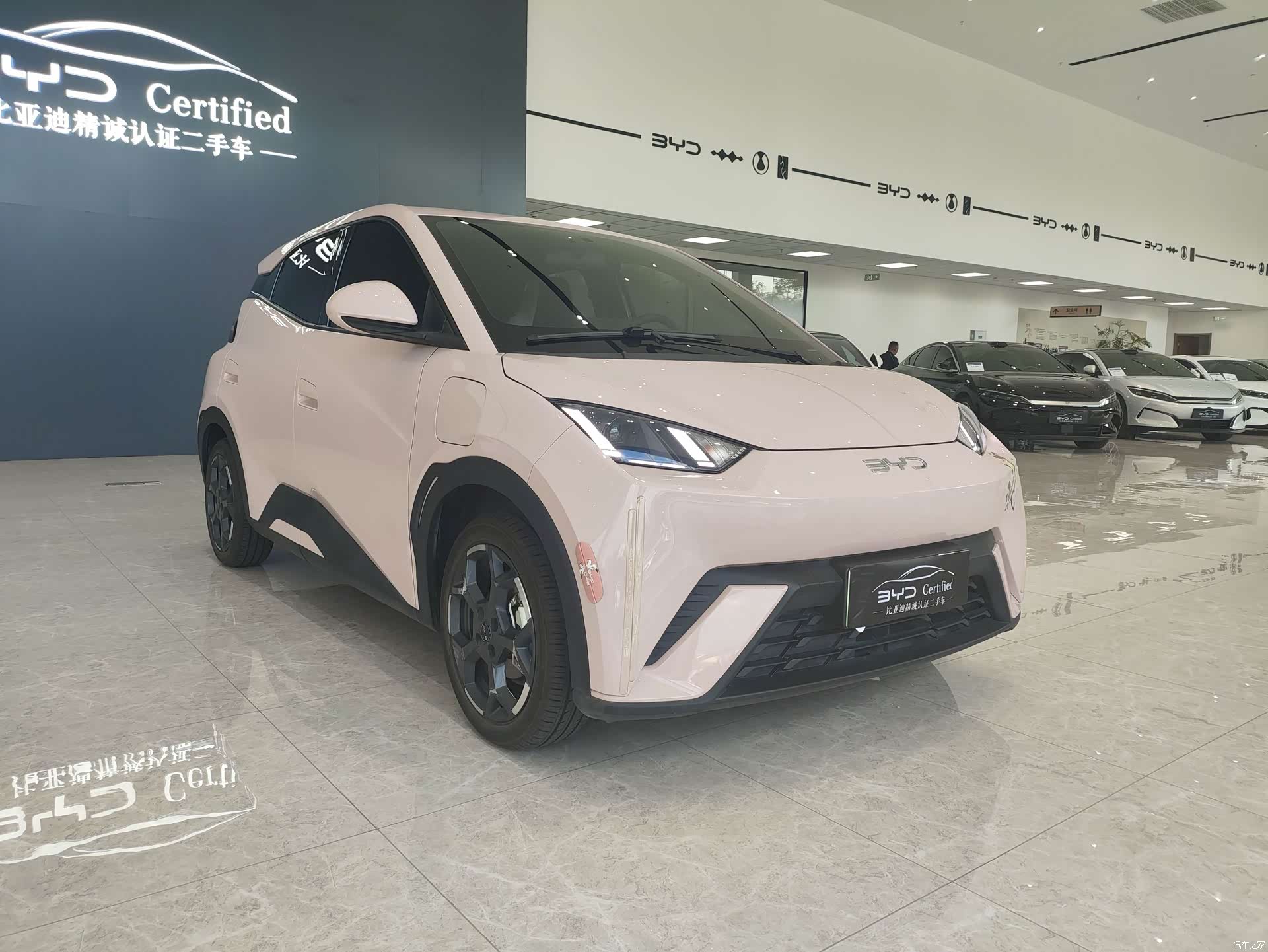 BYD Seagull, 2025 3
