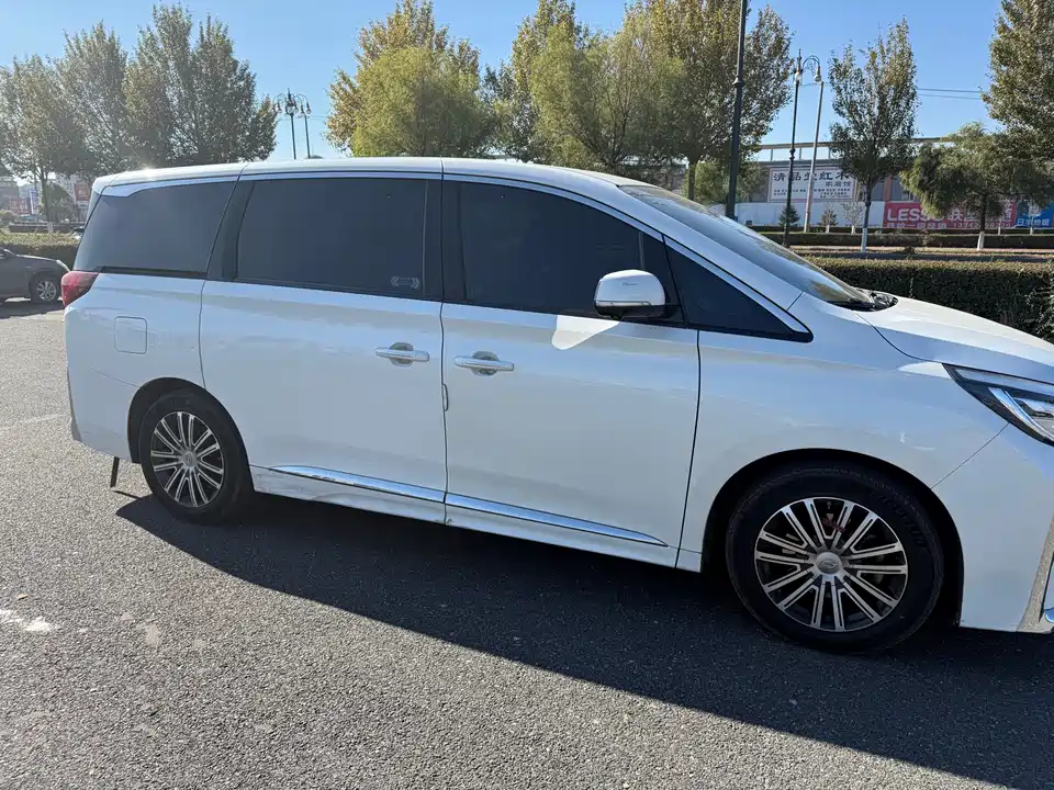 Trumpchi Trumpchi M8