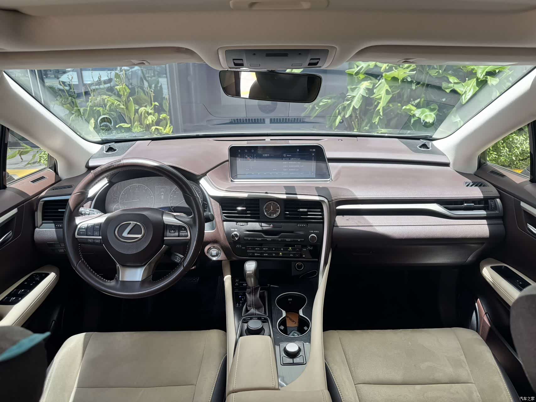 Lexus RX, 2019 все фото
