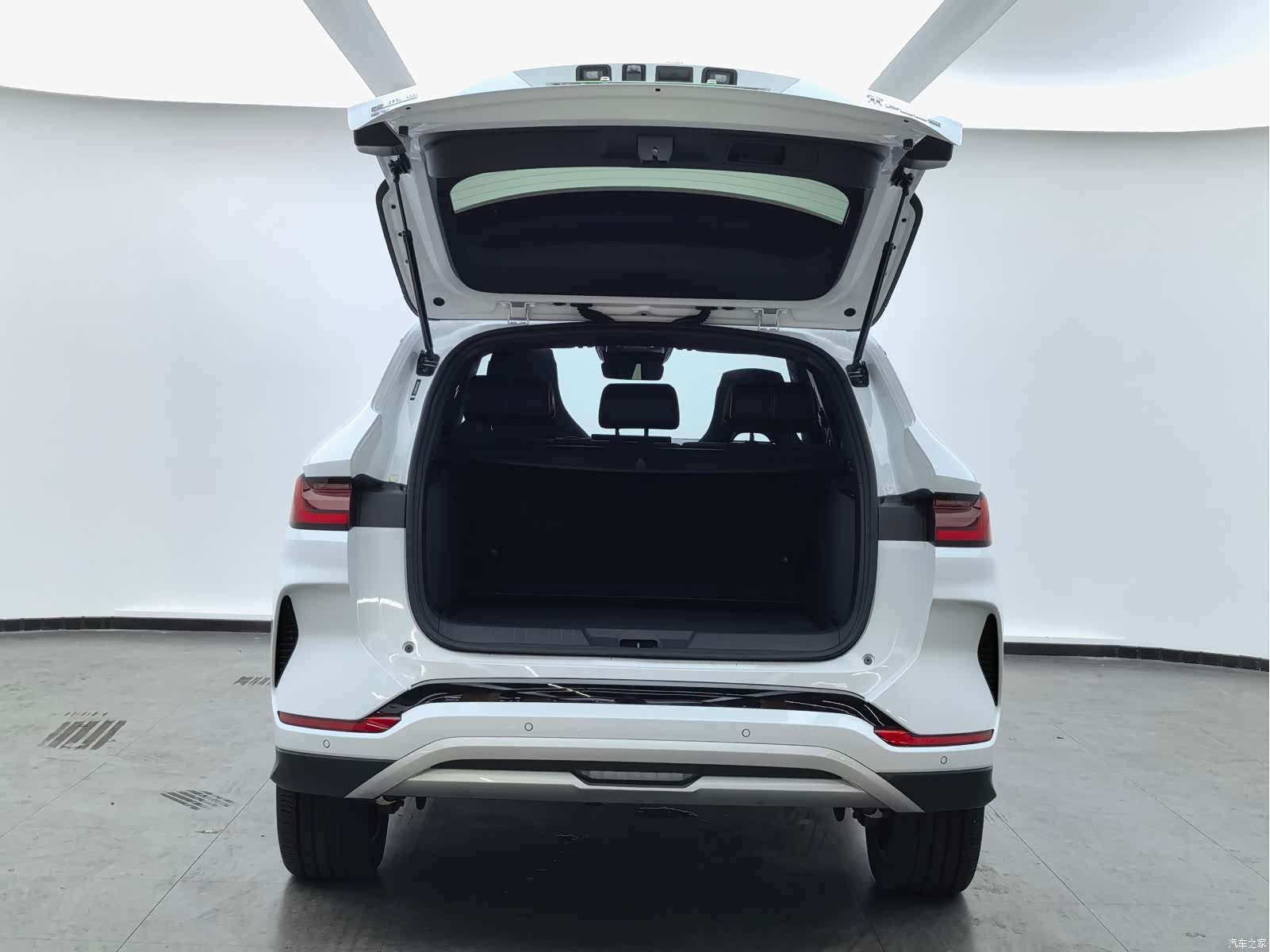 BYD Song, 2024 12