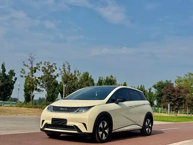 BYD Dolphin 2024 — купить из Китая под заказ