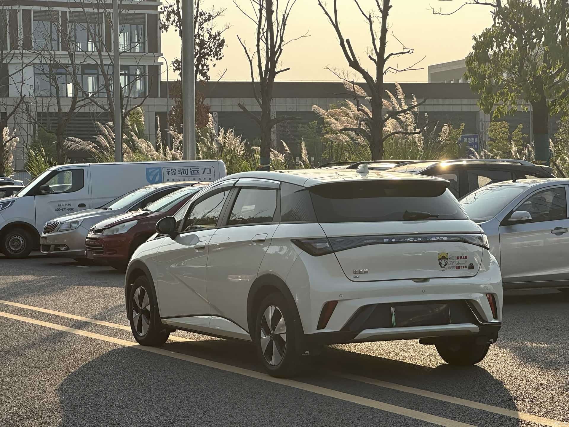 BYD Dolphin, 2023 все фото