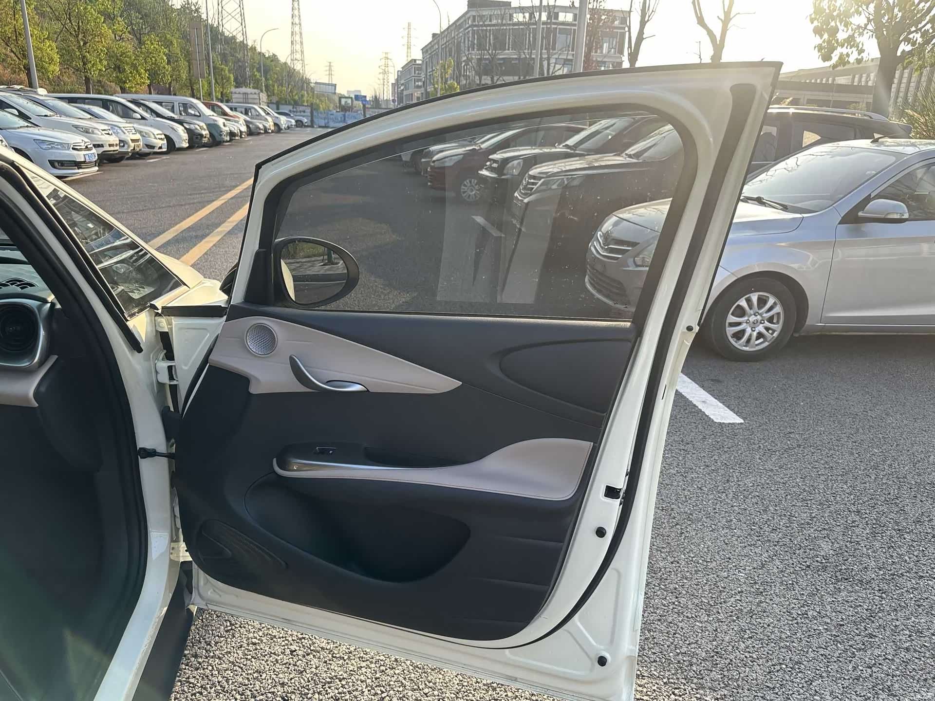 BYD Dolphin, 2023 12
