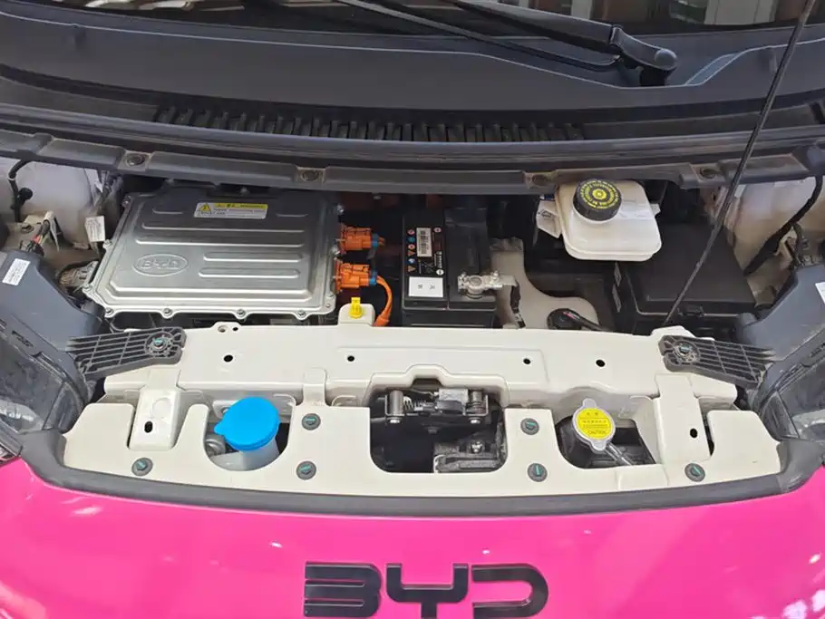 BYD Seagull