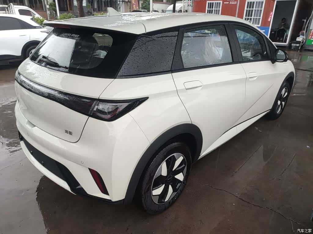 BYD Dolphin, 2026 7