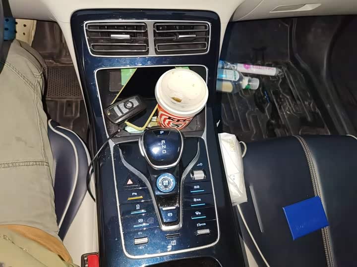 BYD Qin Plus 2021 DM-i 55KM Flagship