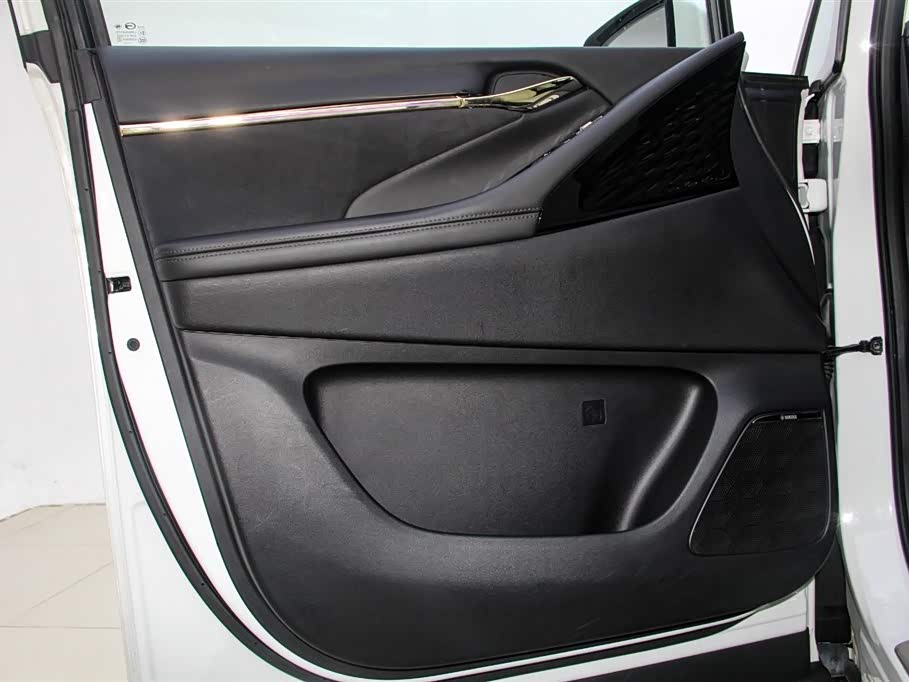 Trumpchi Trumpchi E9 Trumpchi Trumpchi E9