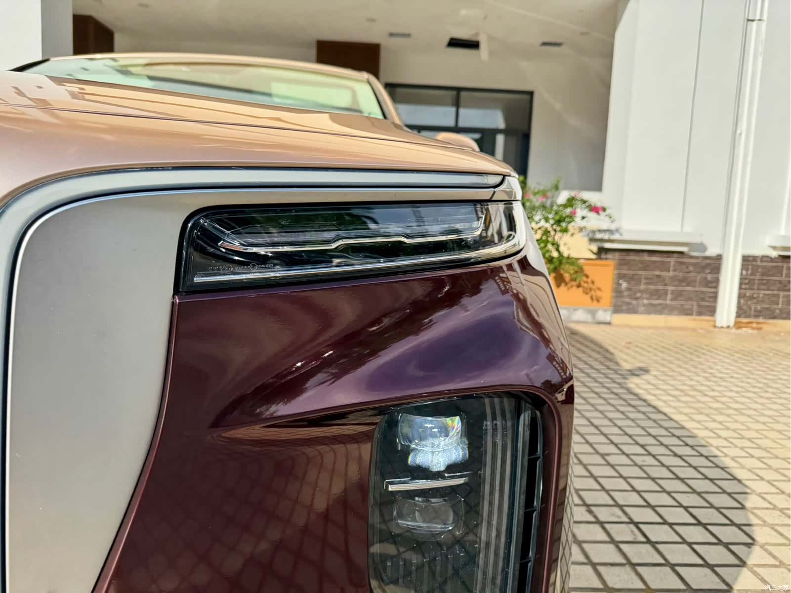 Hongqi E-HS9, 2021 20