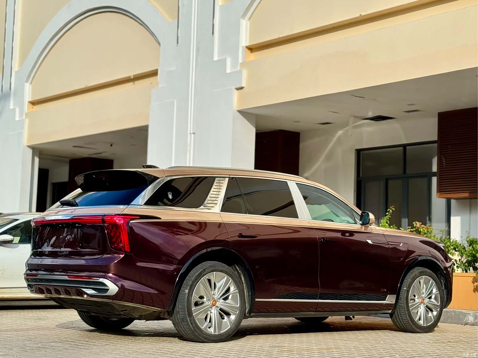 Hongqi E-HS9, 2021 17