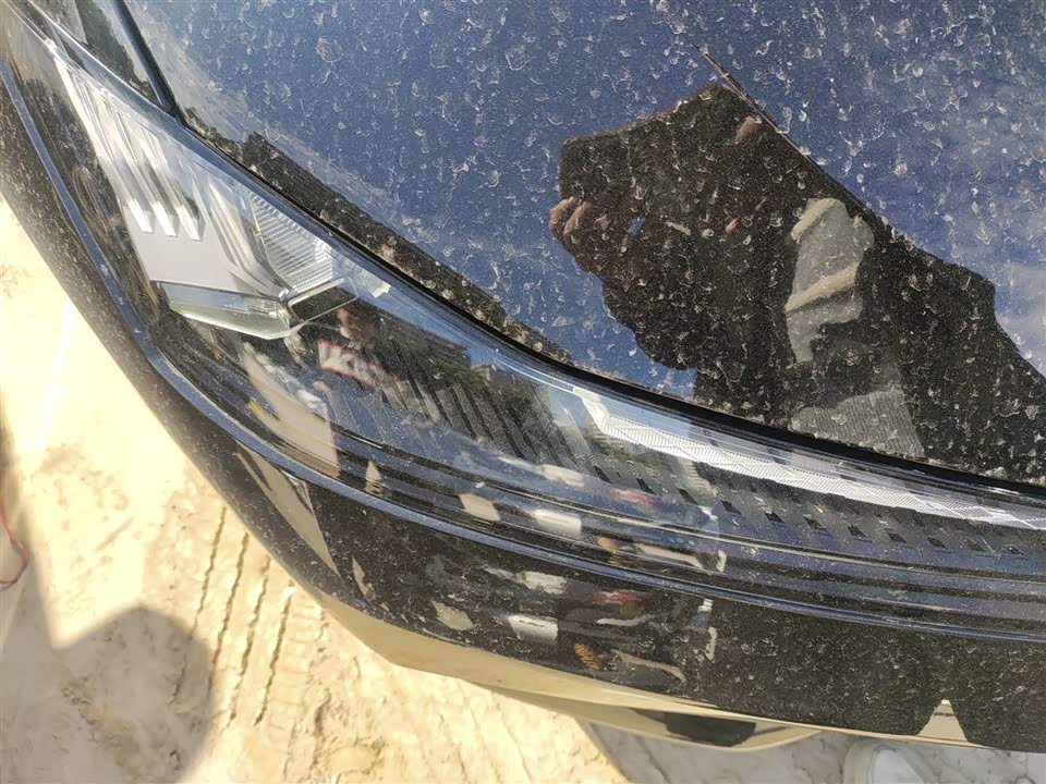 DEEPAL Dark blue SL03