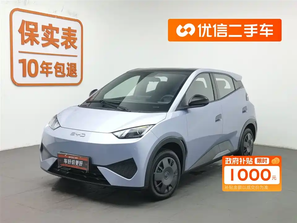BYD Seagull