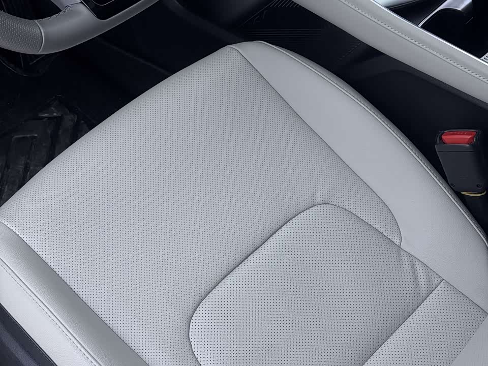 Kia Lion Platinum expands the world