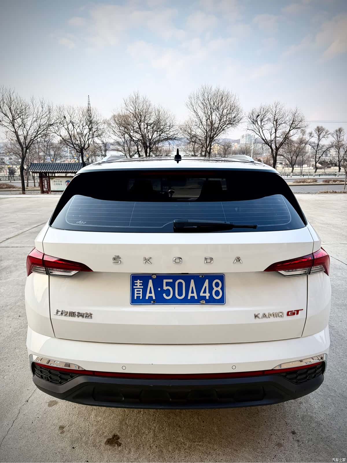 Skoda Kamiq, 2022 все фото