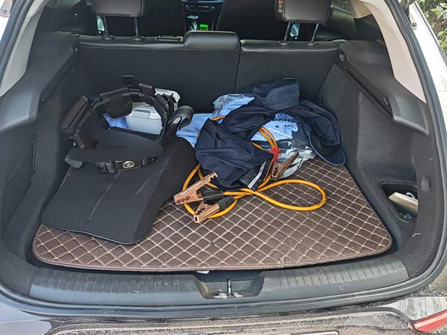 Buick Slightly blue 6